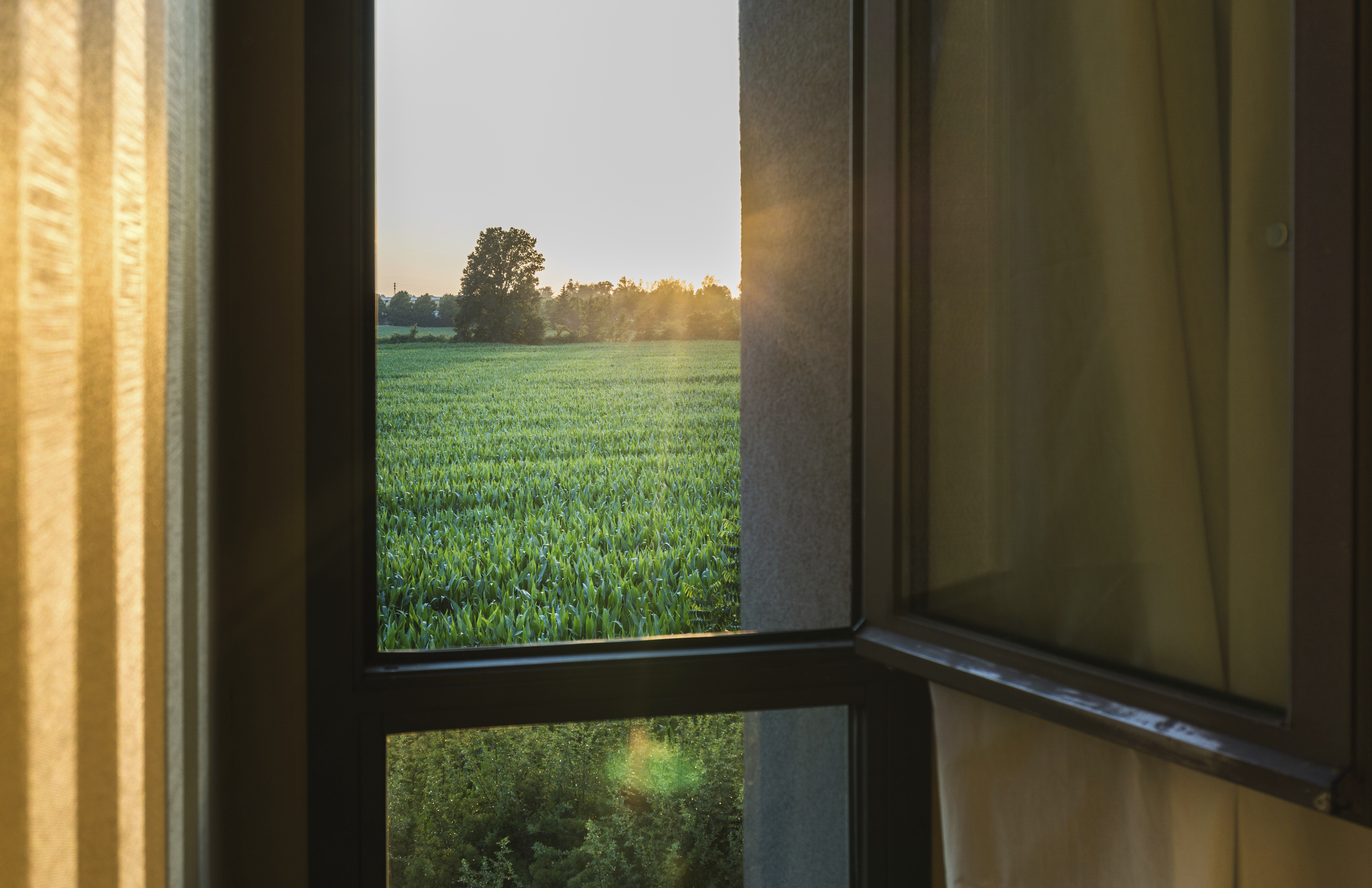 window-view